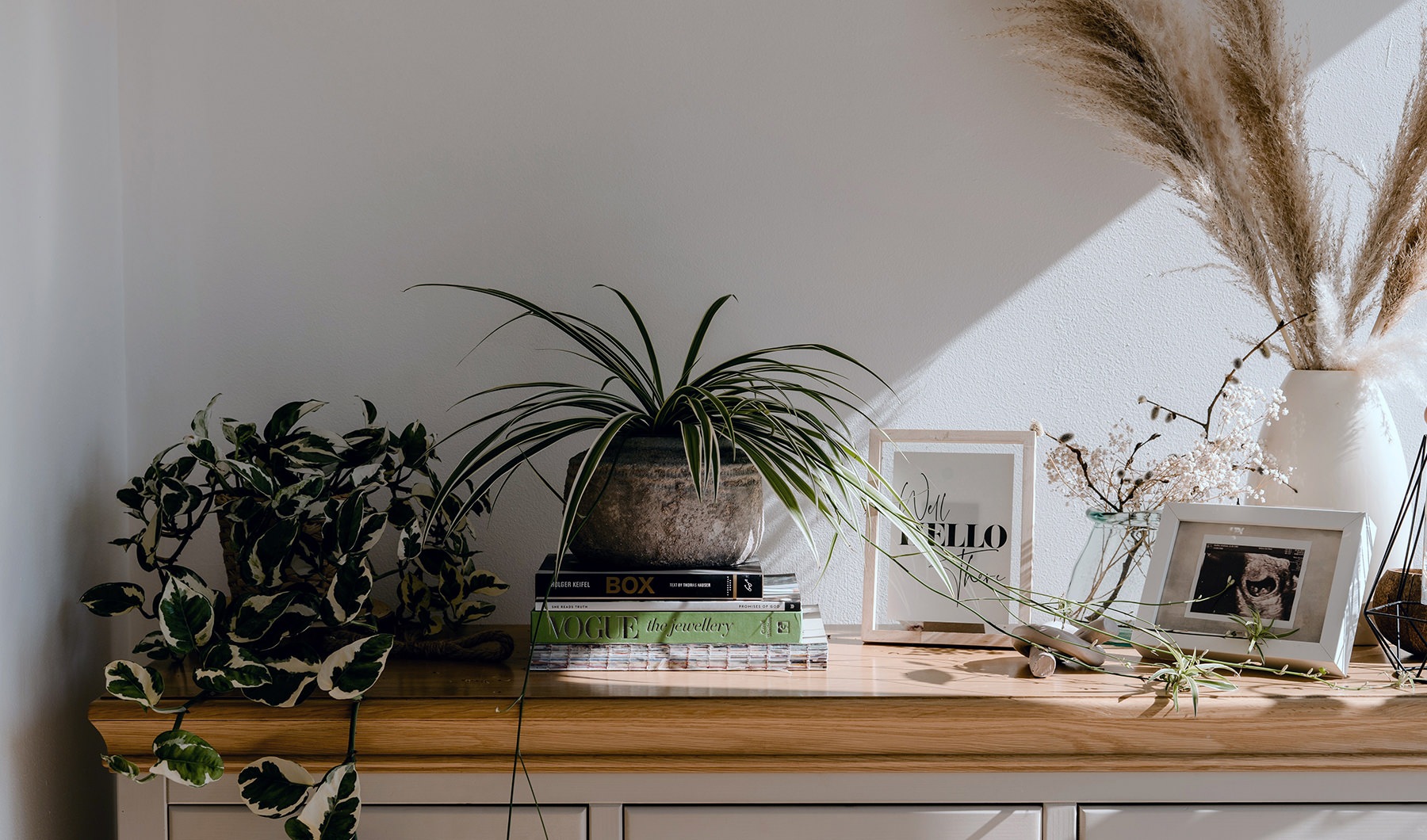 Spacious Living Rooms a table with plants and pictures